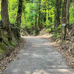 22-04-25 11-19-47 0615